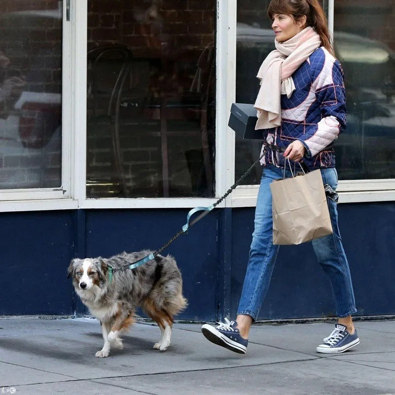 Laisse pour chien|Mains libres