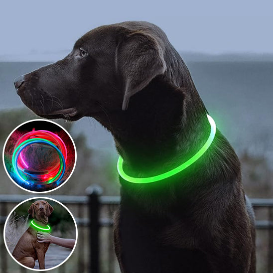 collier-lumineux-pour-chien-rechargeable-securitaire-vert