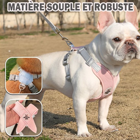 Harnais anti traction | Robuste - Chien Colleux